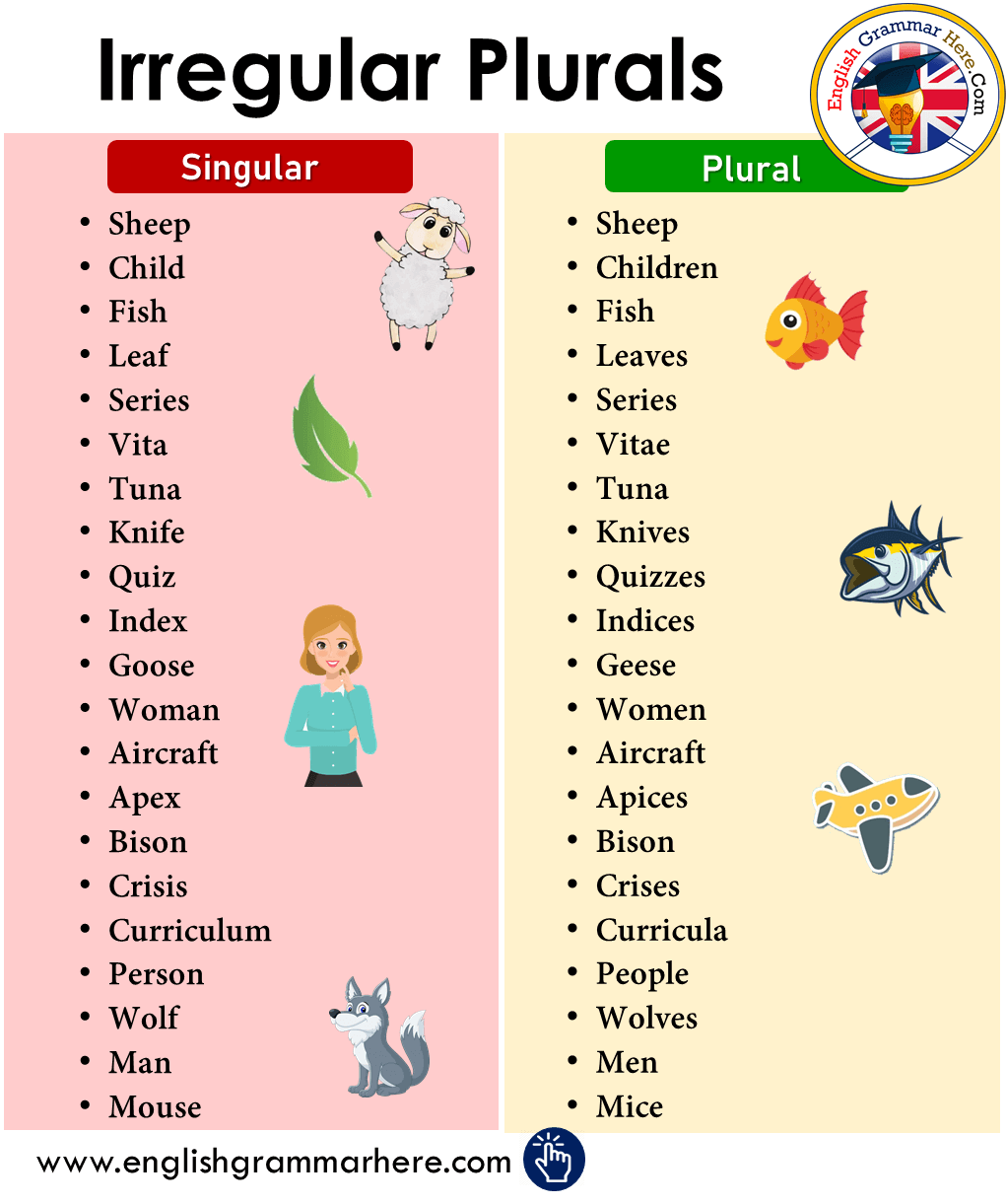Detailed Irregular Plurals List in English