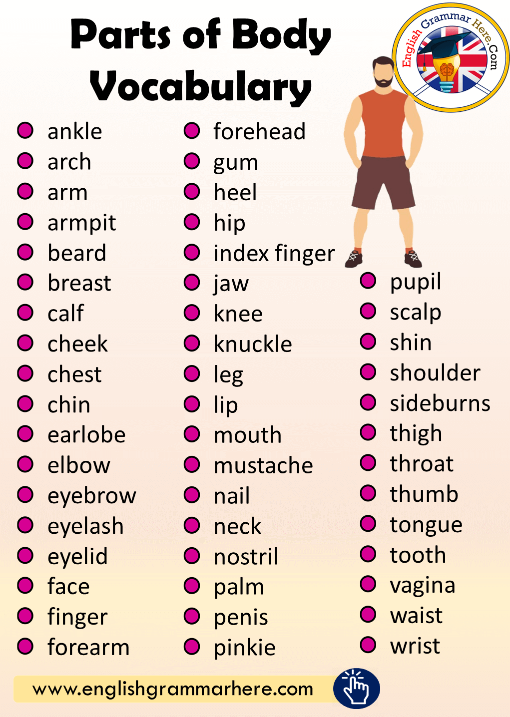 English Parts of Body Vocabulary List